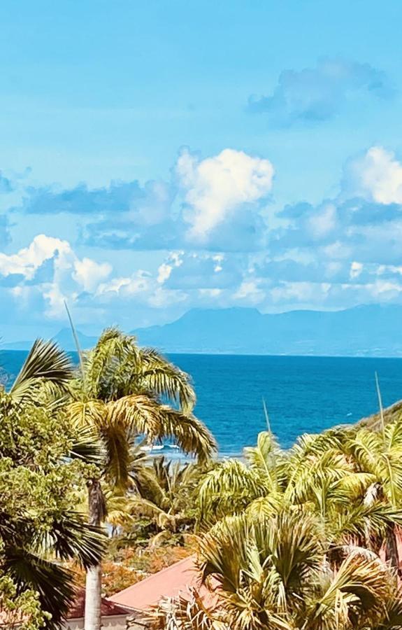 Vue Exclusive Mer Et Volcan, Village Vacances Avec Plage Et Piscine, Les Gwadastudios Sainte-Anne  Exterior foto