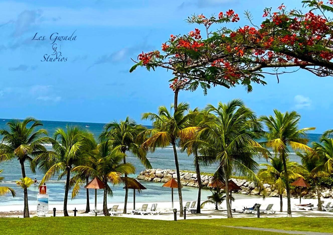 Vue Exclusive Mer Et Volcan, Village Vacances Avec Plage Et Piscine, Les Gwadastudios Sainte-Anne  Exterior foto